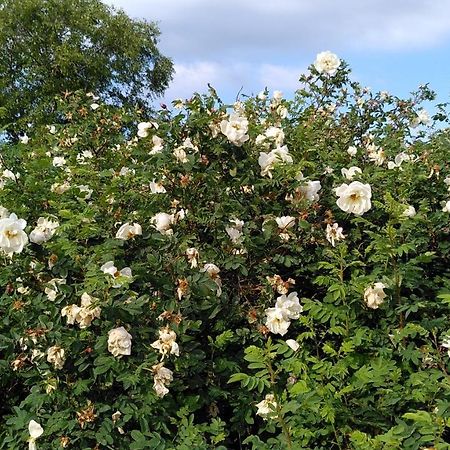 Lilla Mysstuga I Havsnaera Varberg Luaran gambar